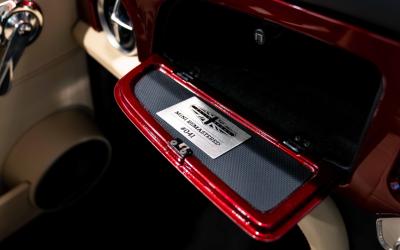 2021 David Brown Mini