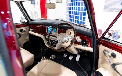 2021 David Brown Mini