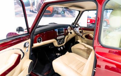 2021 David Brown Mini