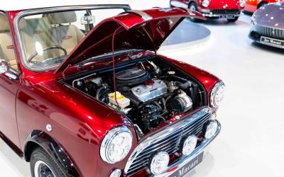 2021 David Brown Mini