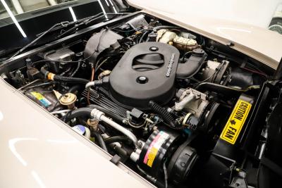 1982 Chevrolet Corvette Collector Edition