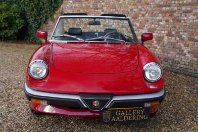 1988 Alfa Romeo Spider 2.0 Graduate