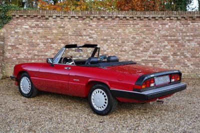 1988 Alfa Romeo Spider 2.0 Graduate
