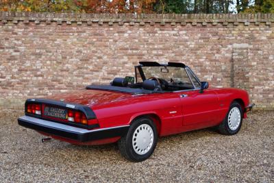 1988 Alfa Romeo Spider 2.0 Graduate