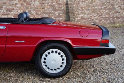 1988 Alfa Romeo Spider 2.0 Graduate