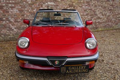 1988 Alfa Romeo Spider 2.0 Graduate