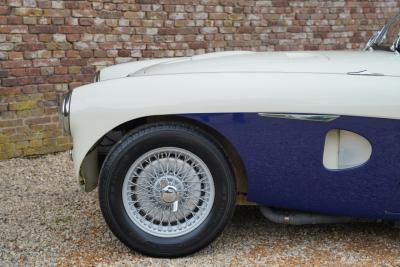 1953 Austin - Healey 100/4 &ldquo;SCCA-racer &rsquo;53-&rsquo;64&rdquo;