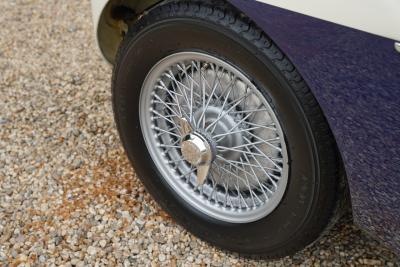 1953 Austin - Healey 100/4 &ldquo;SCCA-racer &rsquo;53-&rsquo;64&rdquo;