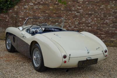 1953 Austin - Healey 100/4 &ldquo;SCCA-racer &rsquo;53-&rsquo;64&rdquo;