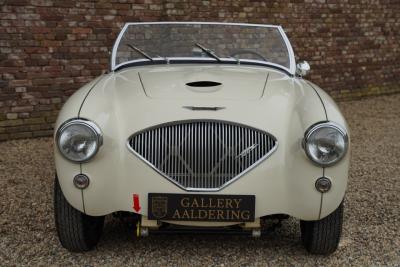 1953 Austin - Healey 100/4 &ldquo;SCCA-racer &rsquo;53-&rsquo;64&rdquo;
