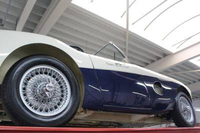 1953 Austin - Healey 100/4 &ldquo;SCCA-racer &rsquo;53-&rsquo;64&rdquo;