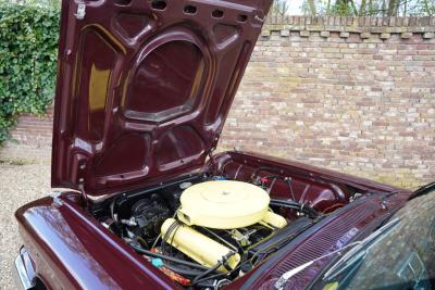 1960 Ford Thunderbird Convertible V8 352 ci