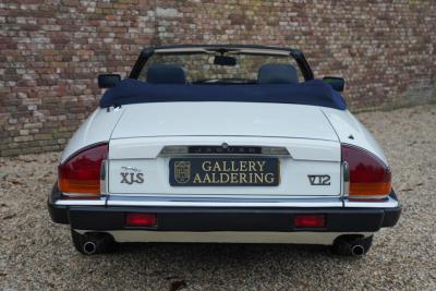 1988 Jaguar XJS 5.3 V12 Convertible