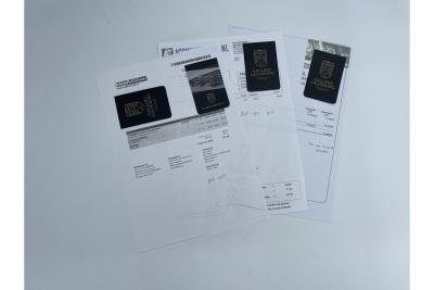 1950 Mercedes - Benz Mercedes Benz 170 S Cabriolet B &ldquo;Restored in every detail&rdquo;