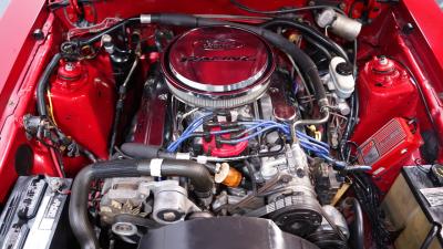 1979 Ford Mustang 5.0 Foxbody