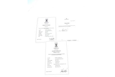 1973 Maserati Bora 4900