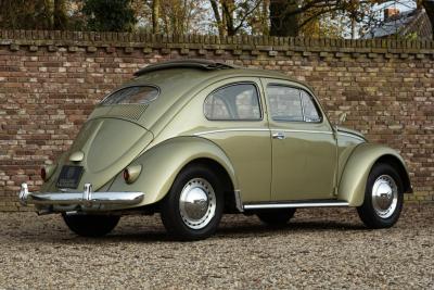 1956 Volkswagen Beetle Oval Ragtop &ldquo;Total ground up restoration&rdquo;