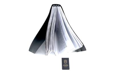 1919 American La France Type 75 Pumping Car &ldquo;Unrestored and in working order&rdquo;