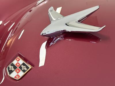 1951 Studebaker Champion Regal Convertible