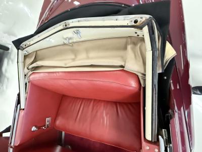 1951 Studebaker Champion Regal Convertible