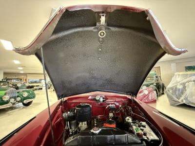 1951 Studebaker Champion Regal Convertible