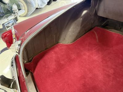 1951 Studebaker Champion Regal Convertible