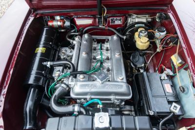 1971 Alfa Romeo Giulia 1600 Super Biscione TOP QUALITY EXAMPLE