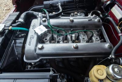 1971 Alfa Romeo Giulia 1600 Super Biscione TOP QUALITY EXAMPLE