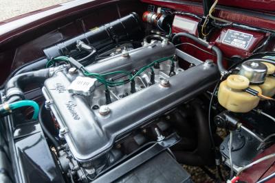 1971 Alfa Romeo Giulia 1600 Super Biscione TOP QUALITY EXAMPLE