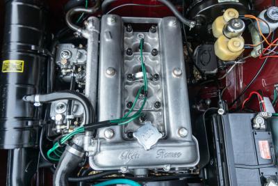 1971 Alfa Romeo Giulia 1600 Super Biscione TOP QUALITY EXAMPLE