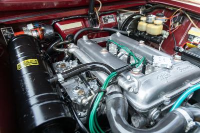 1971 Alfa Romeo Giulia 1600 Super Biscione TOP QUALITY EXAMPLE