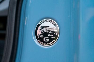 2023 Mercedes - Benz G 400 d