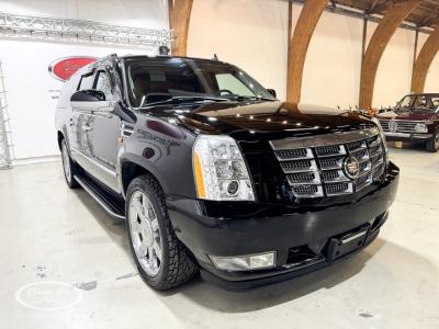 2010 Cadillac Escalade