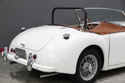 1953 Allard PALM BEACH