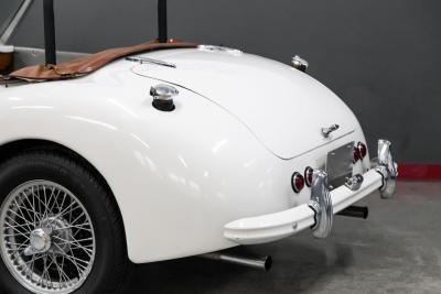 1953 Allard PALM BEACH