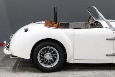 1953 Allard PALM BEACH