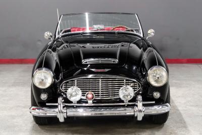 1961 Austin - Healey 3000
