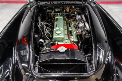 1961 Austin - Healey 3000