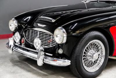 1961 Austin - Healey 3000