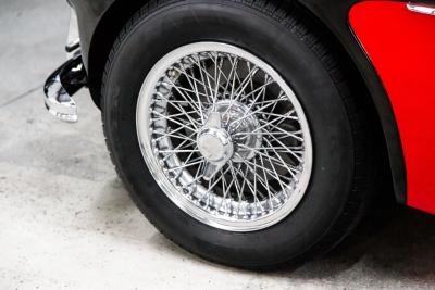 1961 Austin - Healey 3000