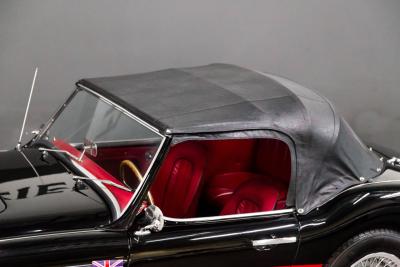 1961 Austin - Healey 3000