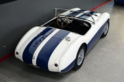 1954 Austin - Healey 100-4 BN1 LEMANS PKG