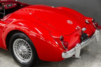 1961 MGA 1600 Roadster MGA 1600 Roadster