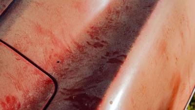 1968 Shelby GT500 KR Fastback