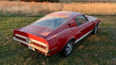 1968 Shelby GT500 KR Fastback