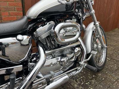 2003 Harley Davidson XL883C SPORTSTER CUSTOM