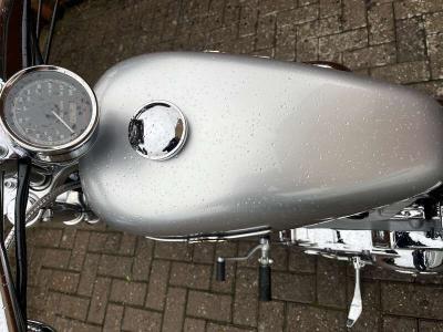 2003 Harley Davidson XL883C SPORTSTER CUSTOM