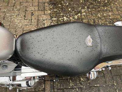 2003 Harley Davidson XL883C SPORTSTER CUSTOM