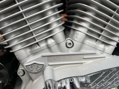 2003 Harley Davidson XL883C SPORTSTER CUSTOM