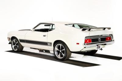1973 Ford Mustang Mach 1 Pro Touring